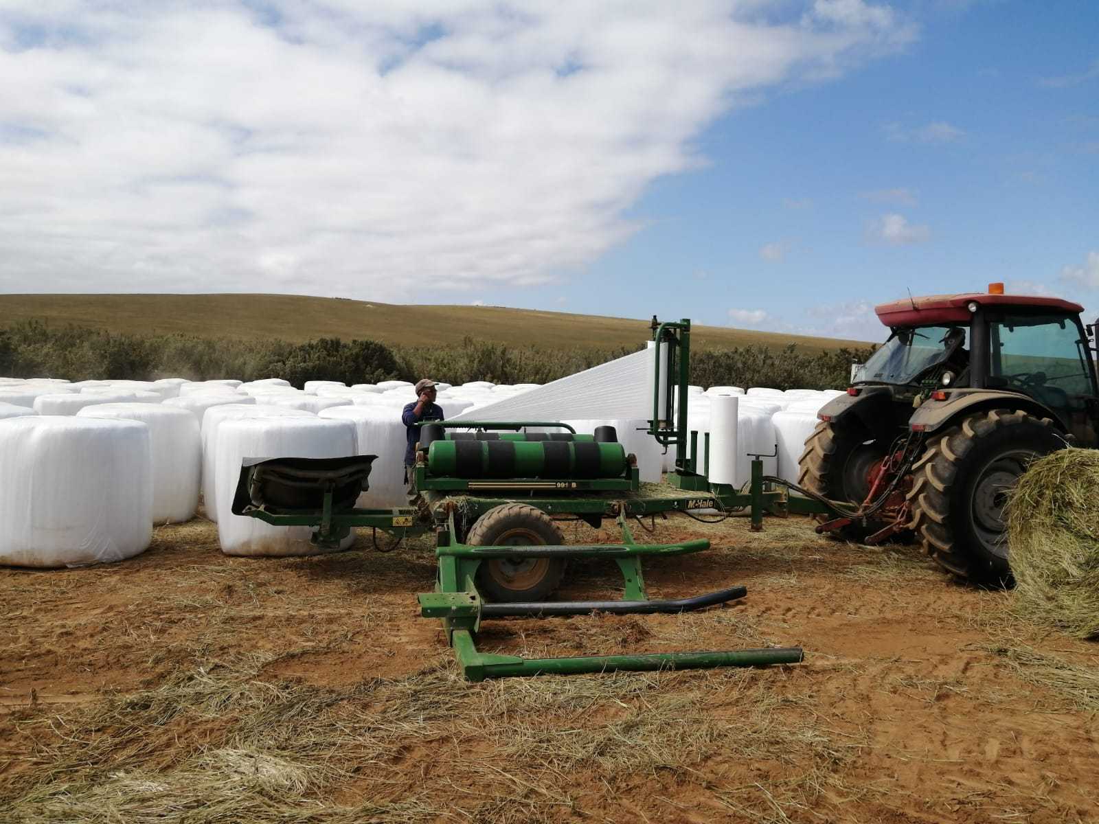 Tractor and bale wrapper producing rows of plastic-wrapped silage bales on a hillside.