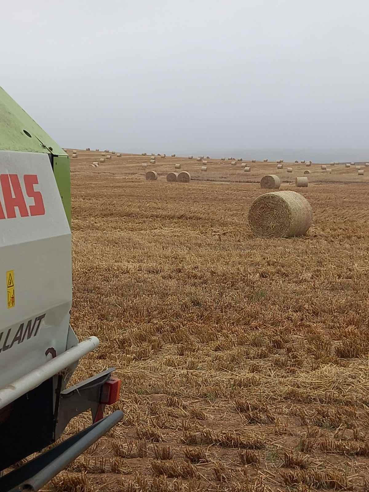 Round bales scattered across a baled field with a CLAAS baler in the foreground, ready for collection.