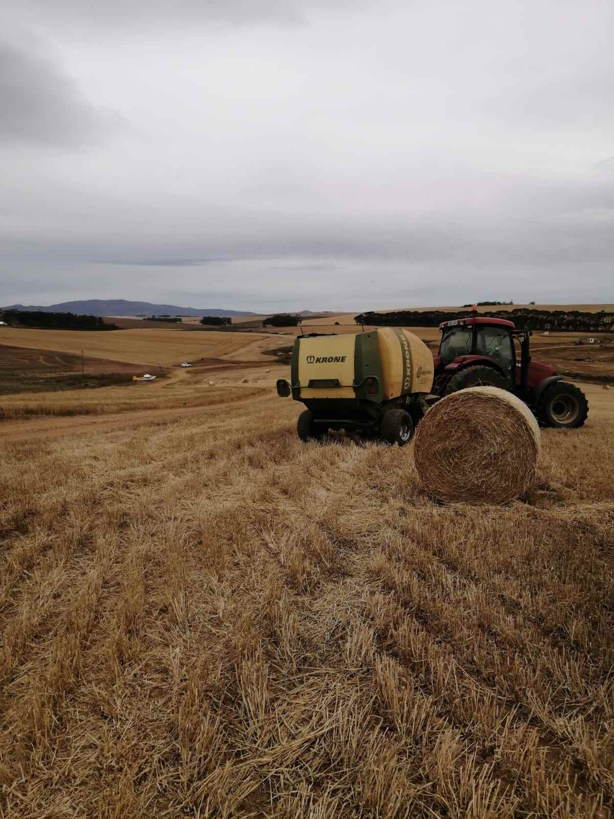 CASE tractor with a KRONE round baler producing a fresh round bale in a stubble field on a grey day.